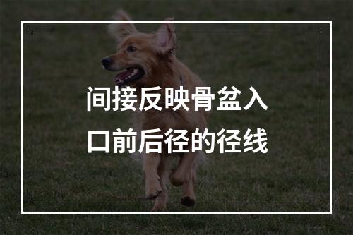 间接反映骨盆入口前后径的径线