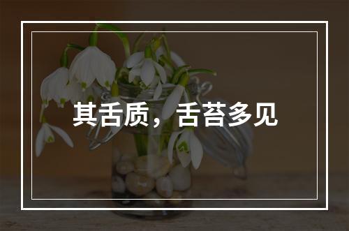 其舌质，舌苔多见