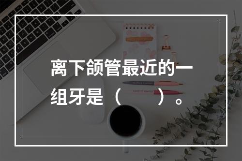 离下颌管最近的一组牙是（　　）。