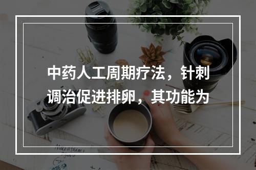 中药人工周期疗法，针刺调治促进排卵，其功能为