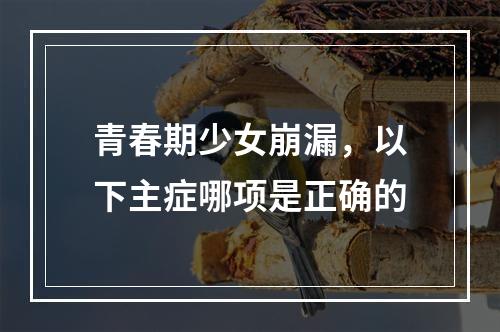 青春期少女崩漏，以下主症哪项是正确的