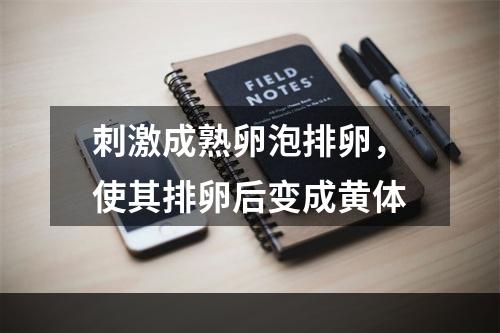 刺激成熟卵泡排卵，使其排卵后变成黄体