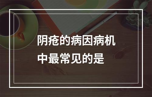 阴疮的病因病机中最常见的是