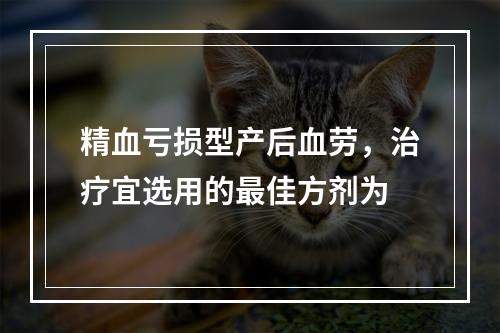 精血亏损型产后血劳，治疗宜选用的最佳方剂为