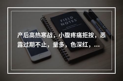 产后高热寒战，小腹疼痛拒按，恶露过期不止，量多，色深红，质黏