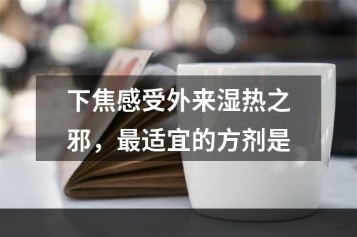 下焦感受外来湿热之邪，最适宜的方剂是