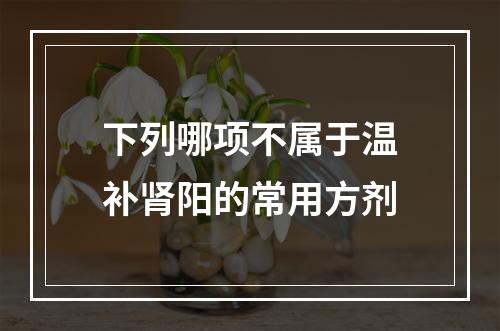 下列哪项不属于温补肾阳的常用方剂