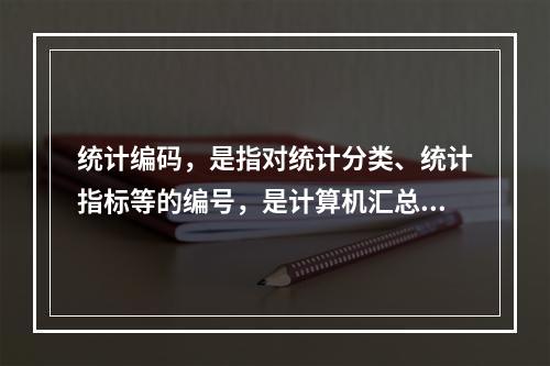 统计编码，是指对统计分类、统计指标等的编号，是计算机汇总的