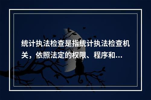 统计执法检查是指统计执法检查机关，依照法定的权限、程序和方式