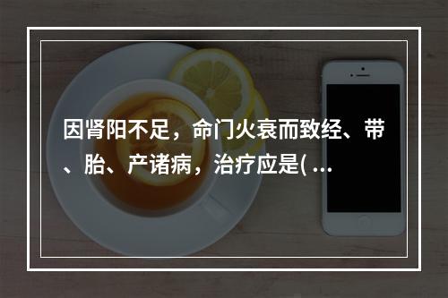 因肾阳不足，命门火衰而致经、带、胎、产诸病，治疗应是( )。