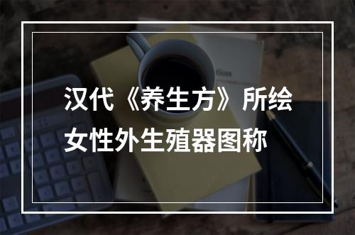 汉代《养生方》所绘女性外生殖器图称