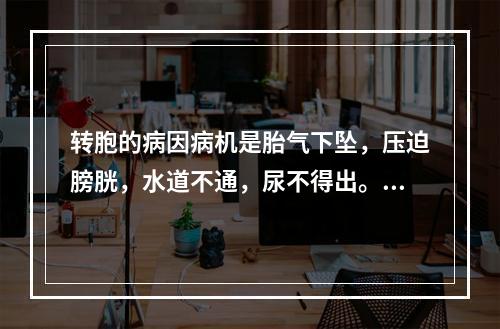 转胞的病因病机是胎气下坠，压迫膀胱，水道不通，尿不得出。临床