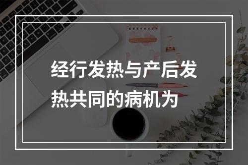 经行发热与产后发热共同的病机为