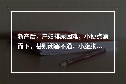 新产后，产妇排尿困难，小便点滴而下，甚则闭塞不通，小腹胀急疼