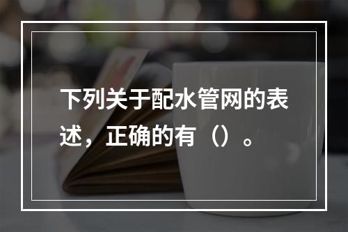 下列关于配水管网的表述，正确的有（）。