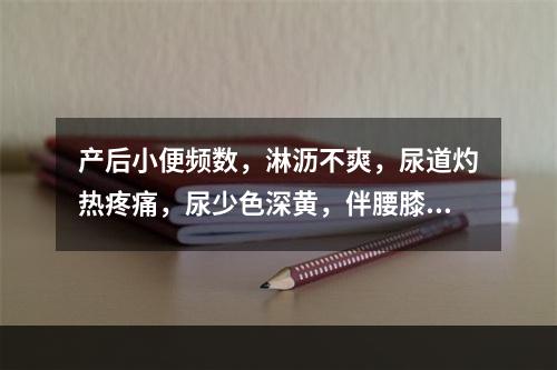 产后小便频数，淋沥不爽，尿道灼热疼痛，尿少色深黄，伴腰膝酸软