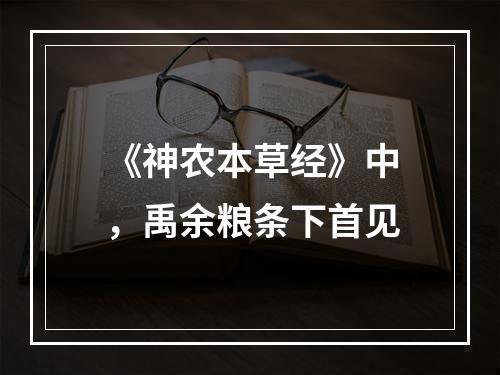 《神农本草经》中，禹余粮条下首见