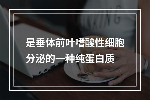 是垂体前叶嗜酸性细胞分泌的一种纯蛋白质