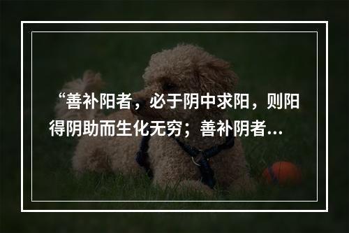 “善补阳者，必于阴中求阳，则阳得阴助而生化无穷；善补阴者，必