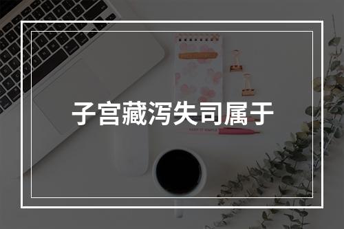 子宫藏泻失司属于