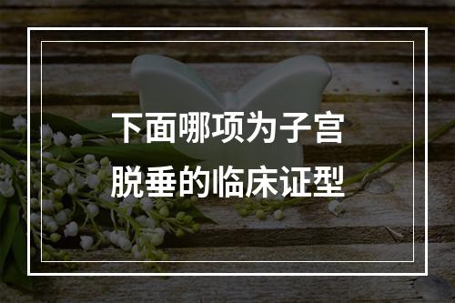 下面哪项为子宫脱垂的临床证型