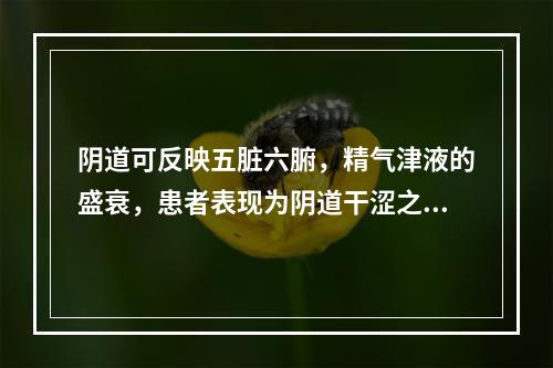 阴道可反映五脏六腑，精气津液的盛衰，患者表现为阴道干涩之症，