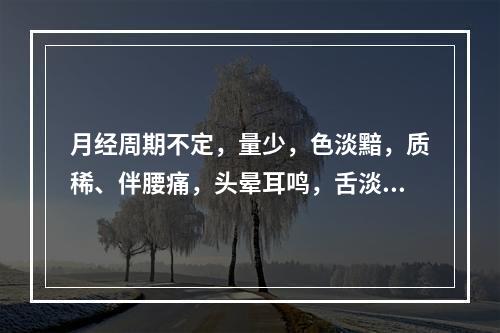 月经周期不定，量少，色淡黯，质稀、伴腰痛，头晕耳鸣，舌淡苔少