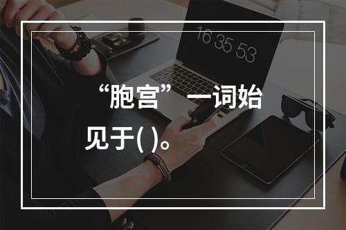 “胞宫”一词始见于( )。