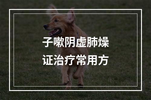 子嗽阴虚肺燥证治疗常用方