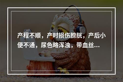 产程不顺，产时损伤膀胱，产后小便不通，尿色略浑浊，带血丝，小