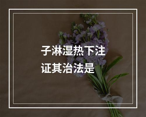 子淋湿热下注证其治法是