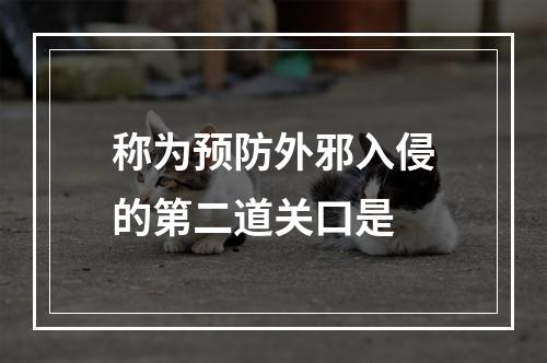 称为预防外邪入侵的第二道关口是