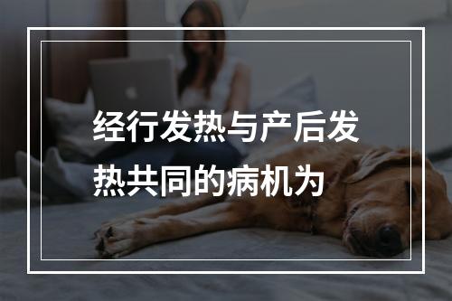 经行发热与产后发热共同的病机为