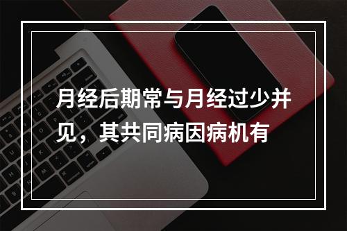 月经后期常与月经过少并见，其共同病因病机有