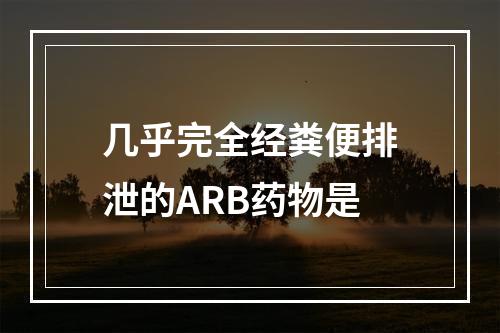 几乎完全经粪便排泄的ARB药物是