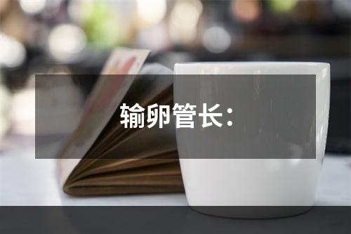 输卵管长：