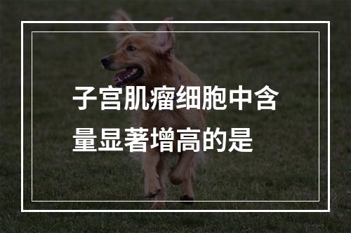 子宫肌瘤细胞中含量显著增高的是