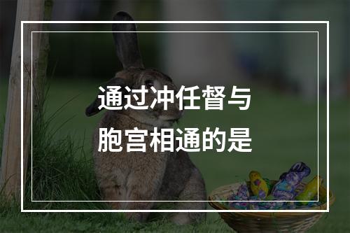 通过冲任督与胞宫相通的是