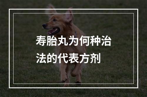 寿胎丸为何种治法的代表方剂