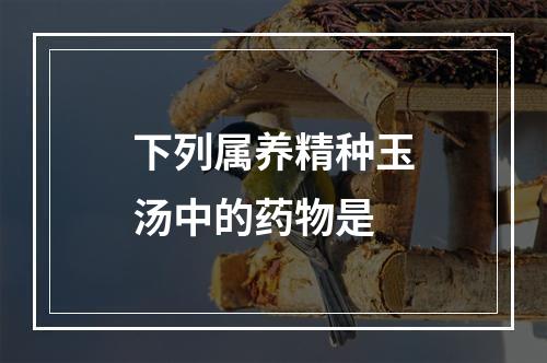 下列属养精种玉汤中的药物是