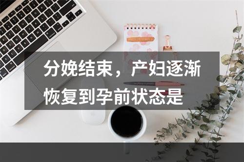 分娩结束，产妇逐渐恢复到孕前状态是