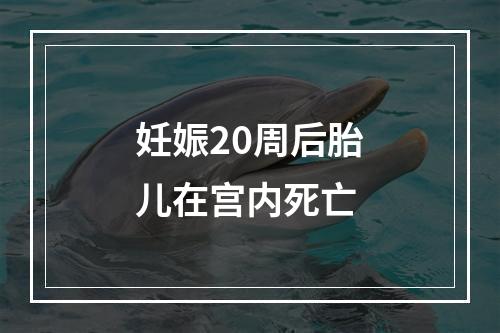 妊娠20周后胎儿在宫内死亡