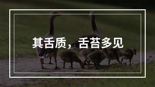 其舌质，舌苔多见