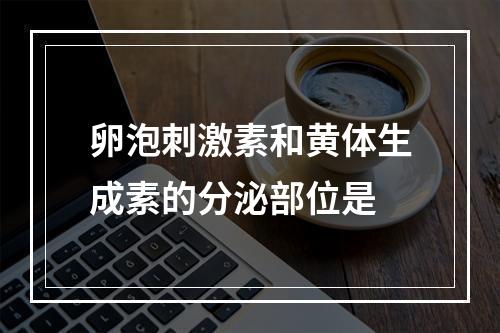 卵泡刺激素和黄体生成素的分泌部位是