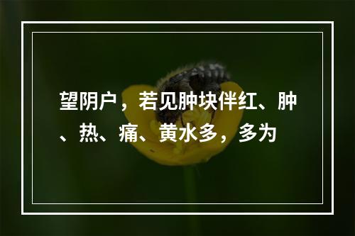 望阴户，若见肿块伴红、肿、热、痛、黄水多，多为