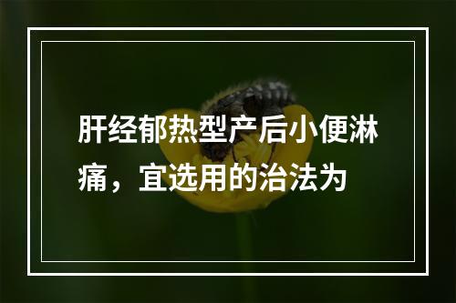 肝经郁热型产后小便淋痛，宜选用的治法为