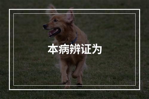 本病辨证为