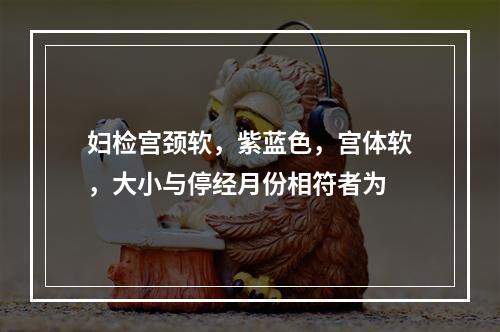 妇检宫颈软，紫蓝色，宫体软，大小与停经月份相符者为