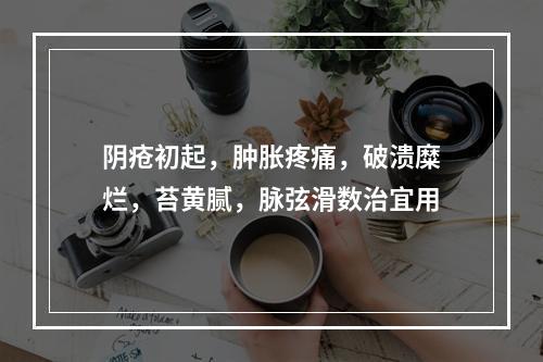 阴疮初起，肿胀疼痛，破溃糜烂，苔黄腻，脉弦滑数治宜用