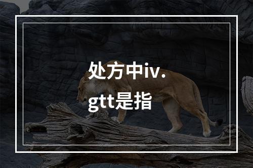 处方中iv.gtt是指